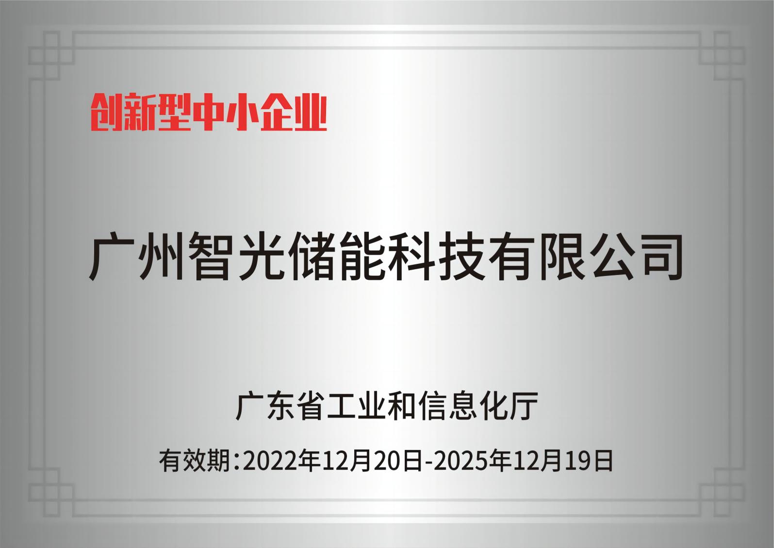350vip浦京集团储能——创新型中幼企业